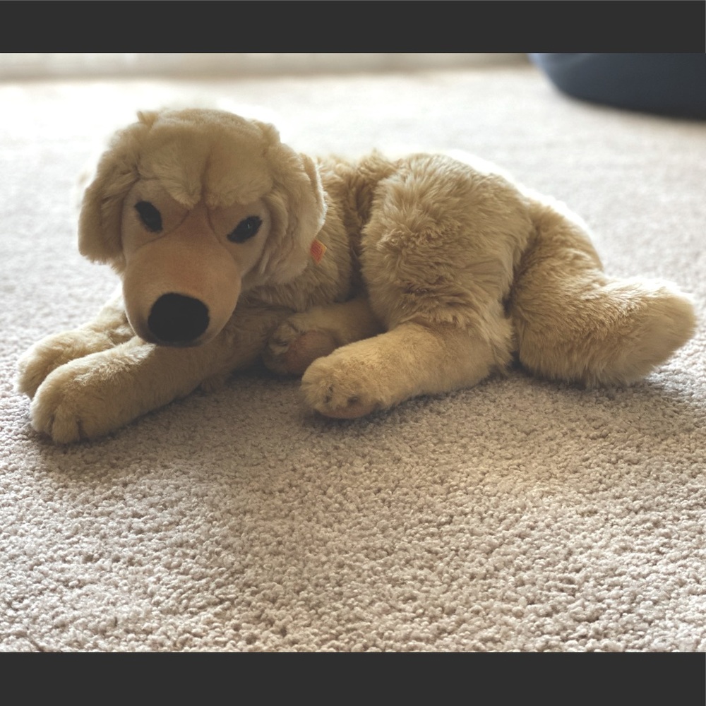 Steiff FAO Schwarz American Kennel Club plush - Golden Retriever